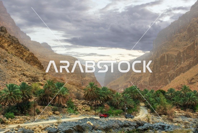 Mountain Valley with Palm Trees in Sultanate of Oman