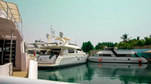 يخوت بيضاء فاخرة في رصيف المارينا بالسعودية