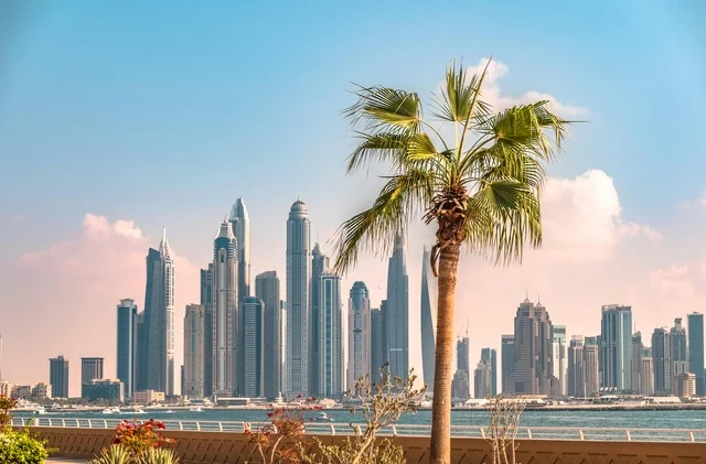 Dubai Marina Skyline with Palm Tree Waterfront