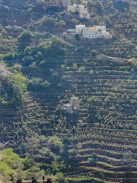 Agricultural Terraces Faifa Mountains Jazan Saudi Arabia