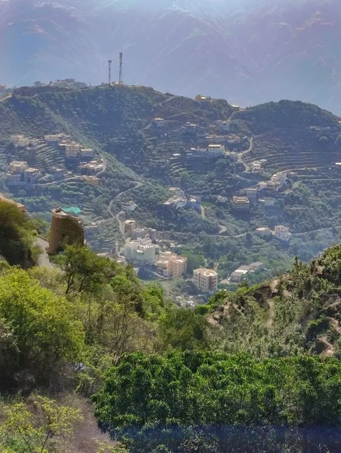 Faifa Mountains Jazan Saudi Arabia Green Terraces