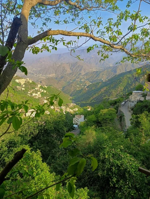 Faifa Mountains Jazan Green Terrace Landscape