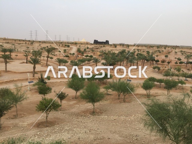 منتزه بنبان الرياض مع الأشجار والنخيل