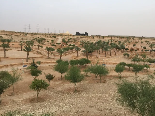 منتزه بنبان الرياض مع الأشجار والنخيل