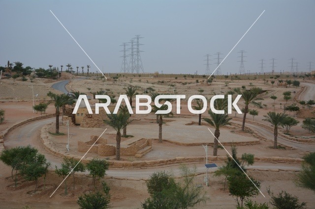منتزه بنبان الرياض منظر طبيعي مع النخيل