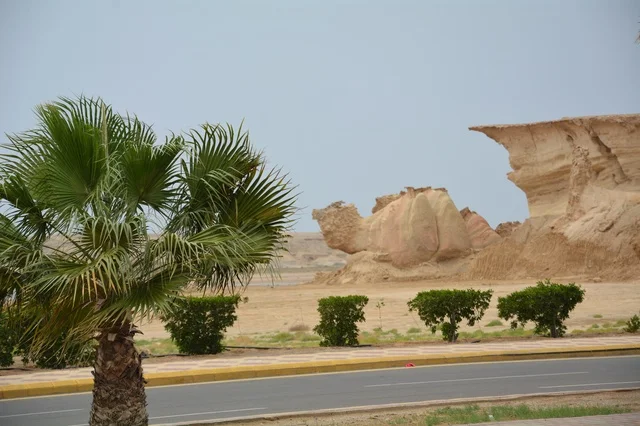 صخرة الجمل في مدينة الوجه بالمملكة العربية السعودية