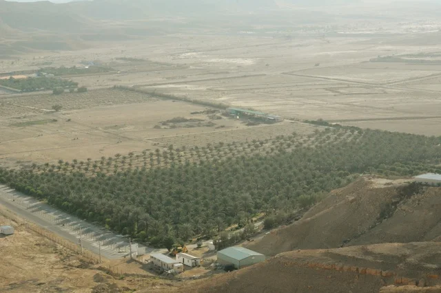 Al-Ammariyah Date Palm Farm Aerial View Saudi Arabia