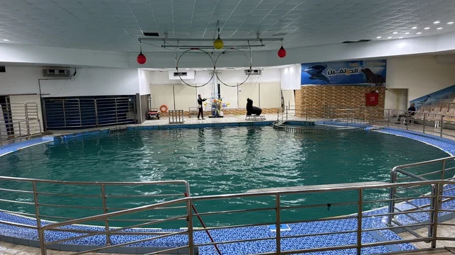 Dolphin Village Dammam Indoor Aquatic Performance Pool