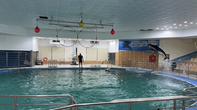 Dolphin Performance at Dolphin Village Dammam