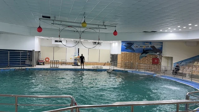Dolphin Village Dammam Indoor Marine Performance Pool