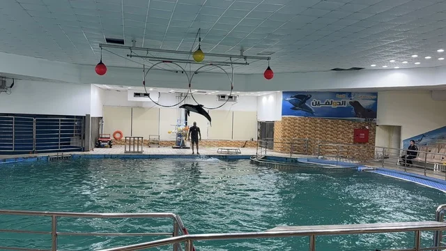 Dolphin Village Dammam Indoor Marine Show Performance