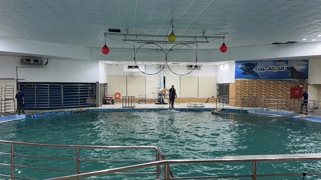Dolphin Village Dammam Indoor Training Pool Facility