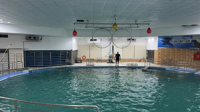 Dolphin Village Dammam Indoor Performance Pool Area