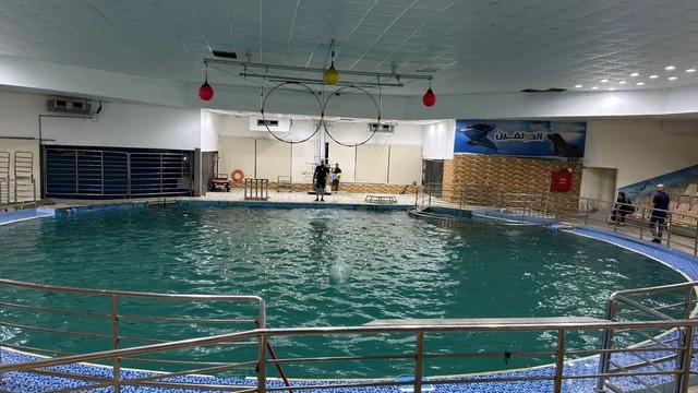 Dolphin Village Dammam Indoor Aquatic Center