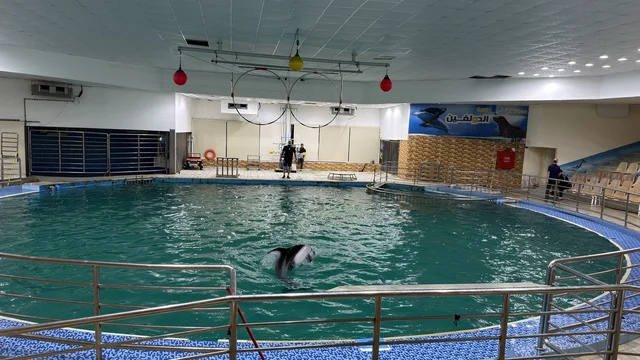 Dolphin Village Dammam Indoor Water Show Facility