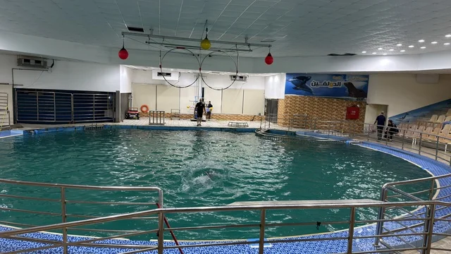 Dolphin Village Dammam Indoor Show Arena and Pool
