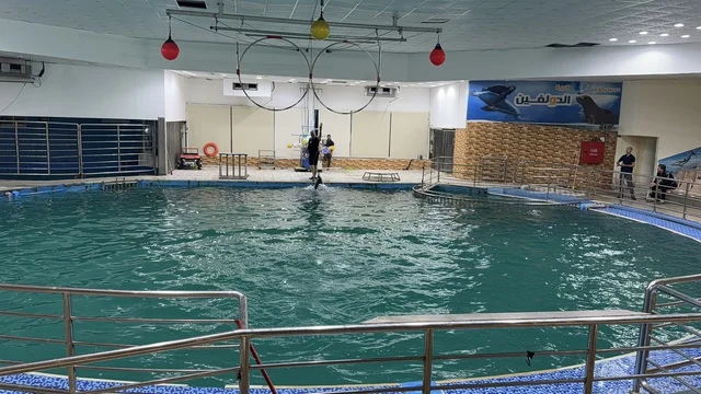 Dolphin Village Dammam Indoor Performance Pool Arena