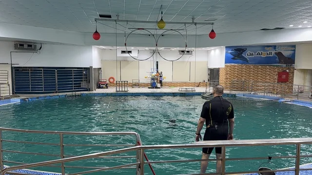 Dolphin Village Dammam Indoor Training Pool and Trainer