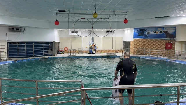Dolphin Village Dammam Indoor Training Pool and Trainer