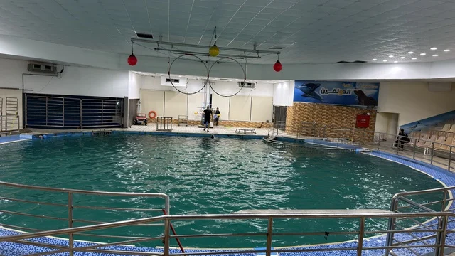 Dolphin Village Dammam Indoor Performance Pool
