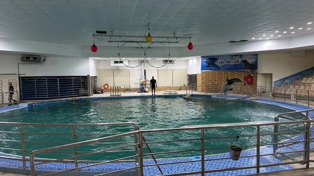 Dolphin Village Dammam Indoor Performance Show Pool