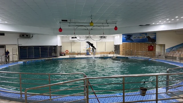 Dolphin Village Dammam Indoor Aquatic Show Arena