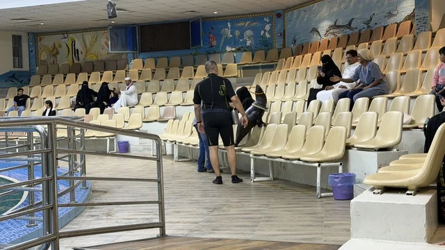 Sea Lion Performance at Dolphin Village Dammam Arena