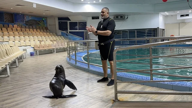 Sea Lion Trainer at Dolphin Village Dammam Saudi Arabia