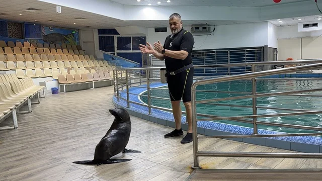 Sea Lion Trainer at Dolphin Village Dammam Show
