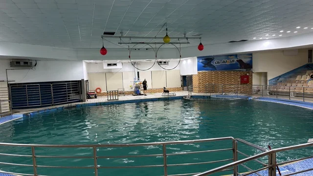 Dolphin Village Dammam Indoor Training Pool Facility