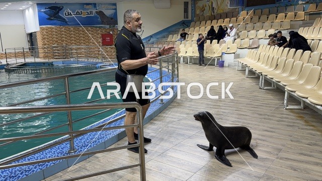 عرض أسد البحر مع المدرب في قرية الدولفين بالدمام