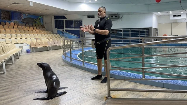 Sea Lion Trainer at Dolphin Village Dammam Performance