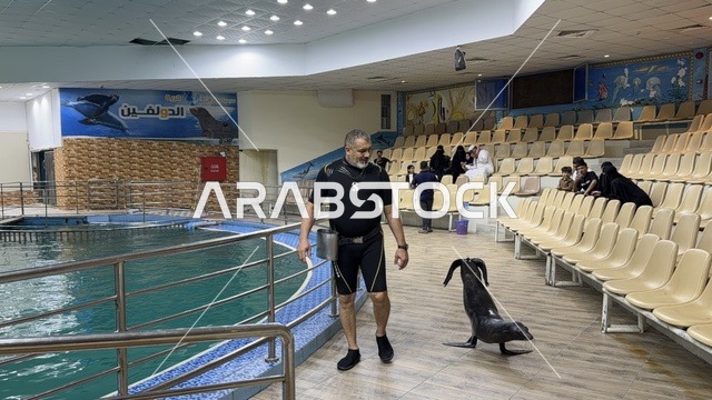 مدرب أسد البحر في قرية الدولفين بالدمام