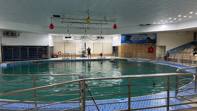 Dolphin Village Dammam Indoor Arena and Pool