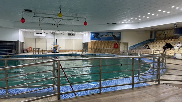 Dolphin Village Dammam Indoor Performance Pool Area