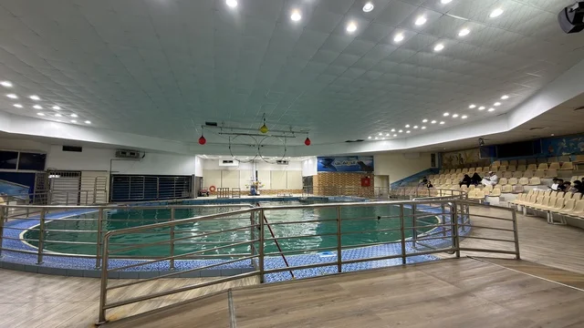 Dolphin Village Dammam Indoor Stadium Pool