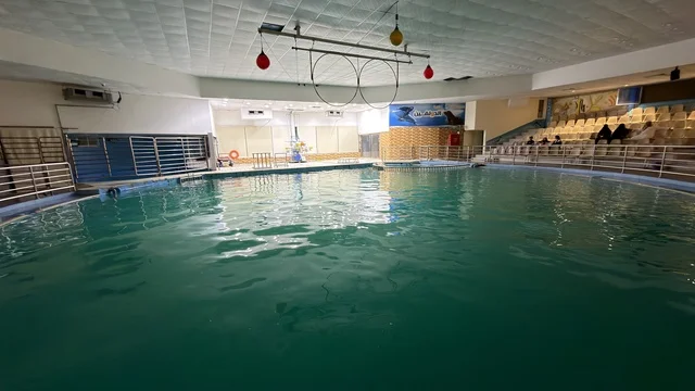 Dolphin Village Dammam Indoor Aquatic Pool Arena
