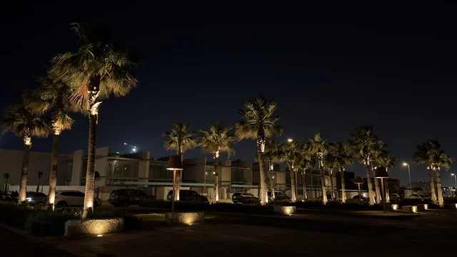Ahmad Al-Mousa Park Night View Palm Trees