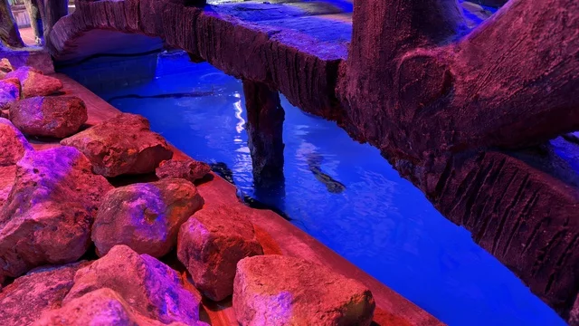 Dolphin Village Dammam Indoor Aquarium Exhibit