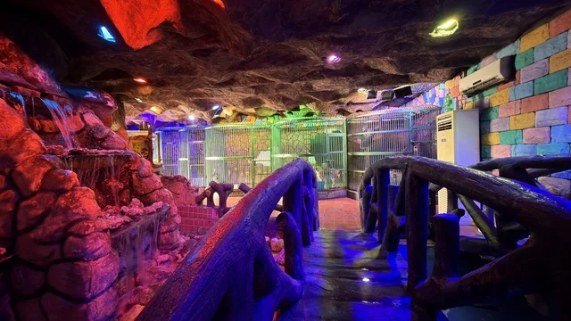 Dolphin Village Dammam Indoor Theme Park Neon Lighting