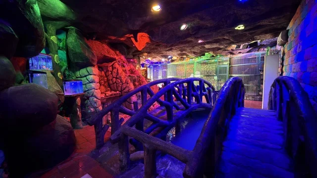 Dolphin Village Dammam Indoor Bridge and Rock Walls
