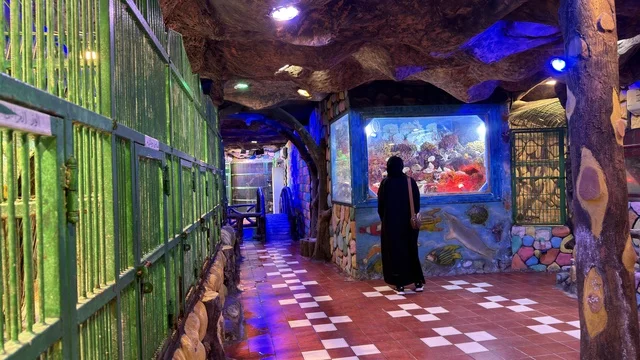 Dolphin Village Dammam Indoor Aquarium with Woman in Abaya