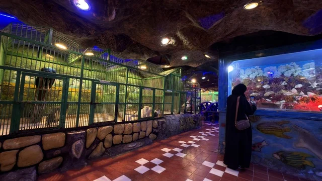 Indoor Aquarium and Zoo at Dolphin Village Dammam
