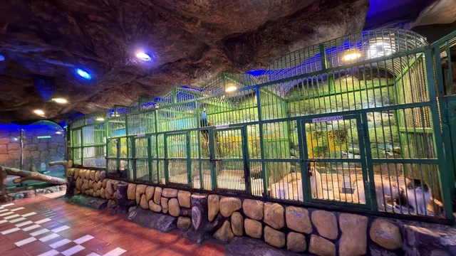 Dolphin Village Dammam Indoor Animal Zoo Enclosures