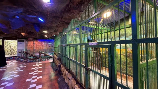 Dolphin Village Dammam Indoor Bird Cages and Aviary