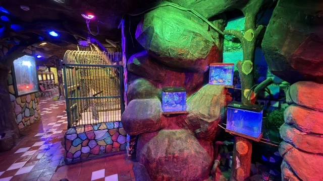 Dolphin Village Dammam Indoor Aquarium with Neon Lights