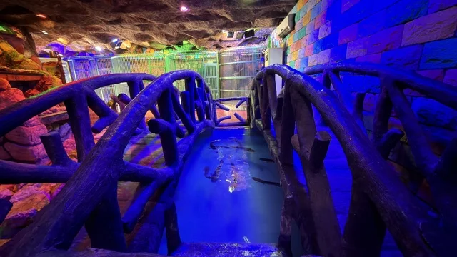 Dolphin Village Dammam Indoor Bridge and Blue Lighting