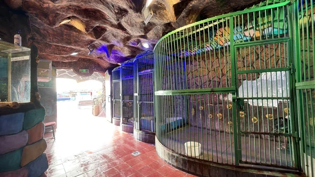 Dolphin Village Dammam Indoor Animal Enclosures
