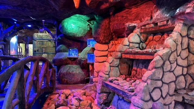 Dolphin Village Dammam Artificial Cave with Color Lighting
