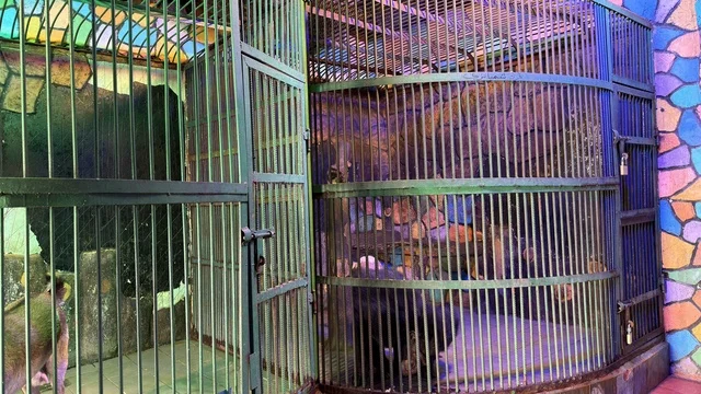 Animal Enclosures at Dolphin Village Dammam Saudi Arabia